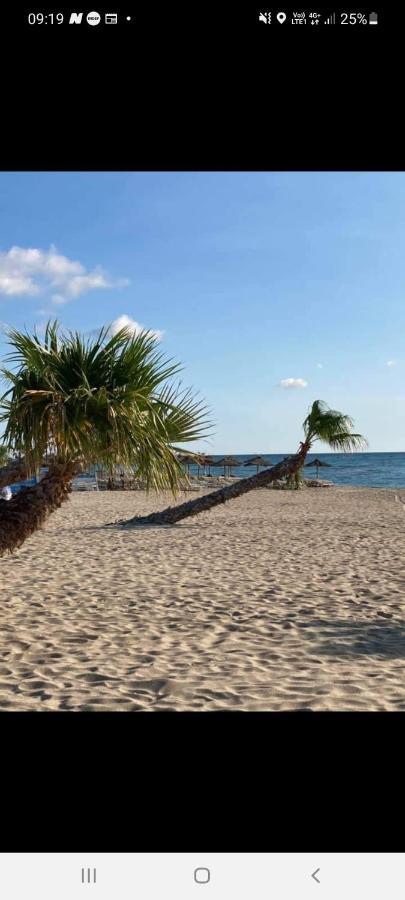 Villa 6 Couchages Spa Privatif, Acces Direct Mer, Piscine Le Barcarès Buitenkant foto