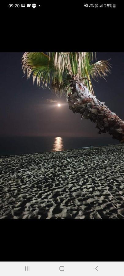 Villa 6 Couchages Spa Privatif, Acces Direct Mer, Piscine Le Barcarès Buitenkant foto