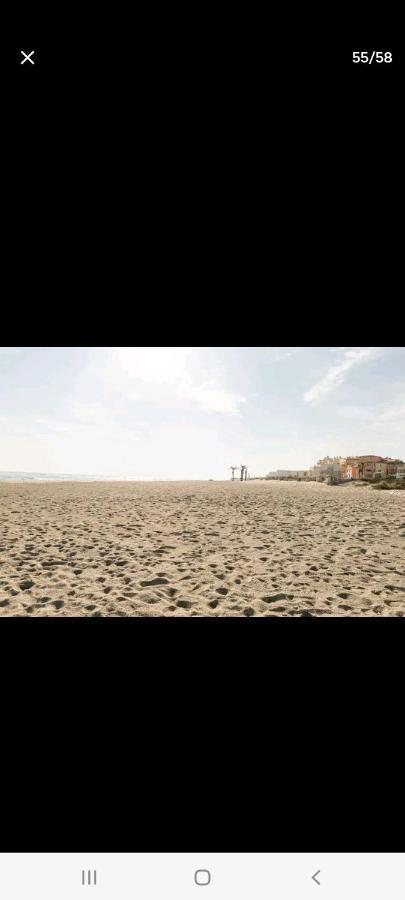 Villa 6 Couchages Spa Privatif, Acces Direct Mer, Piscine Le Barcarès Buitenkant foto